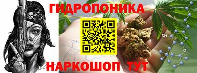 твердый Краснознаменск