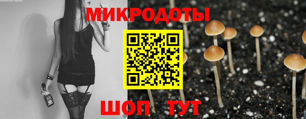 Псилоцибиновые грибы Cubensis Юрга